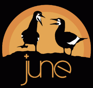 birdsLAUGHjune1Aweb-300x284